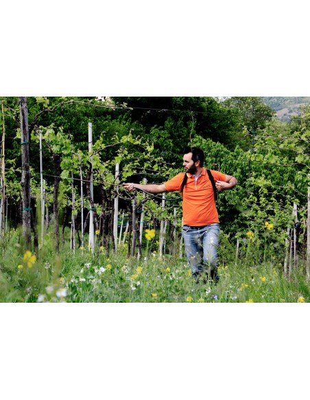 Monte Del Cuca Tappo Vite 2020 Doc - Menti Giovanni