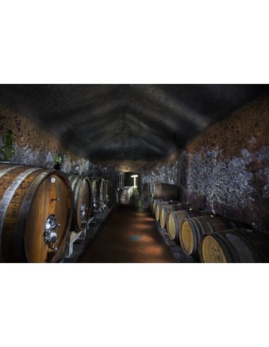 Poggio Pinzo Ciliegiolo 2020 Maremma Toscana...