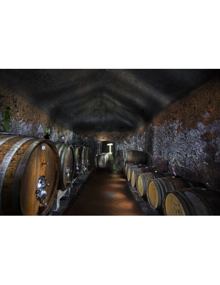 Poggio Pinzo Ciliegiolo 2020 Maremma Toscana Doc - 3 bottiglie - Sassotondo Box