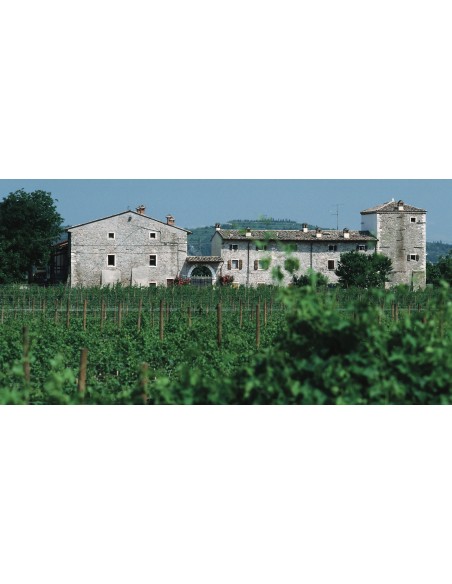 Ròdon Bardolino Chiaretto 2024 IGT - 6 bottiglie - Le Fraghe Box