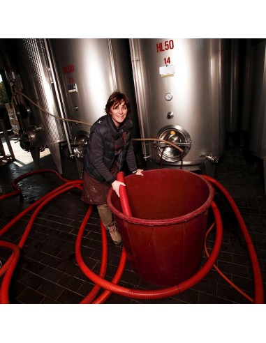 Camporengo Garganega 2024 IGT - 6 bottiglie -...