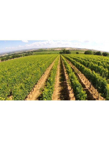 Il Rosso ed il Brunello di Montalcino di Lorenzo Magnelli - 3 bottiglie - Le Chiuse box