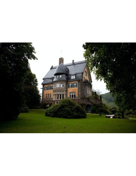 Magnum Riesling by the Glass 2024 Mosel QbA - Villa Huesgen