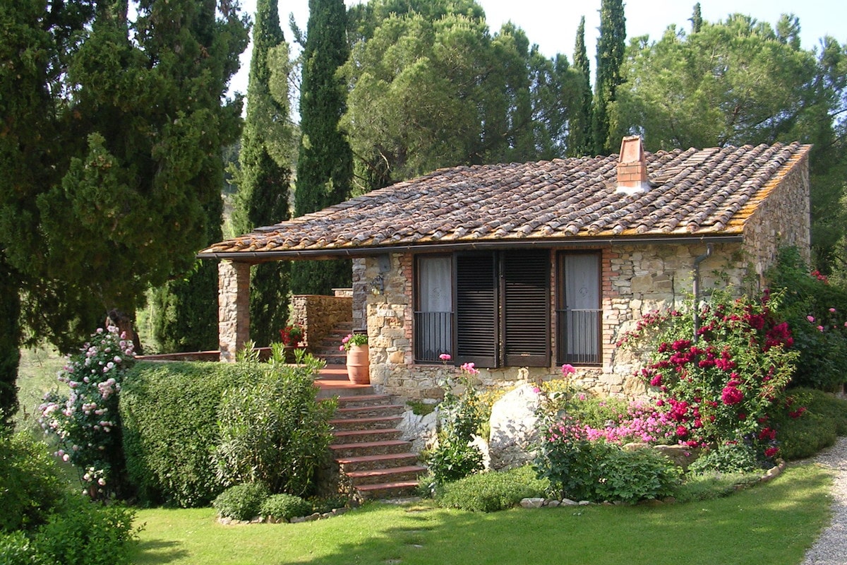 Setriolo 4