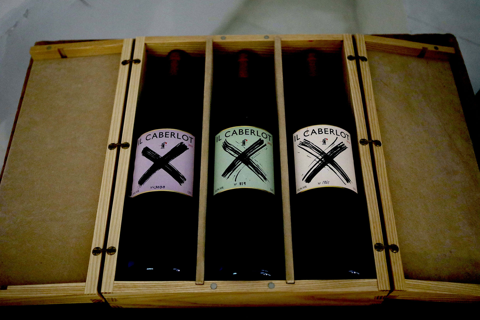 Podere Carnasciale  4