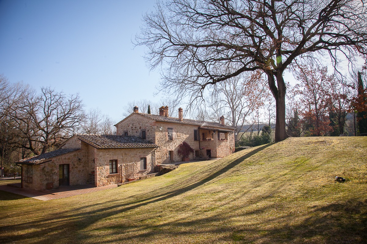 VINO, SIMBIOSI ED ENERGIA - MONTEPULCIANO RACCONTATA DA ALESSANDRO - AZIENDA IL MOLINACCIO